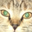 twitch.tv/meltedchips's avatar