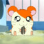 Hamtaro