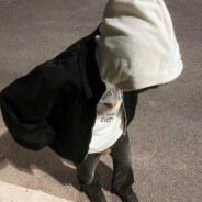 想成雨伞让她握住勾把