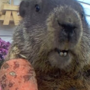 Chunky and his carrot