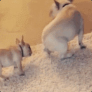 Banana哥哥大香蕉