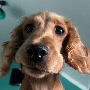 🚩🚩🚩 - steam id 76561199330079322