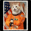 Felix Spacecat