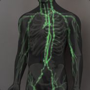 mankini - steam id 76561198138478923