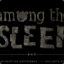 Among The Sleep