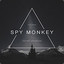 SPY_MONKEY