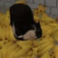 Maxwell Banana