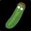 Pickle Morty