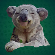 Tranquil Koala