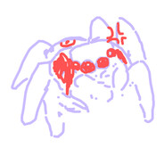 스트레칭성애자