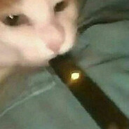 VapeCat - steam id 76561198145182495