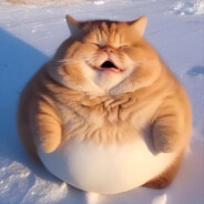 l西伯利亚老中医