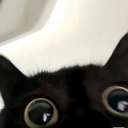 再让我多玩5分钟