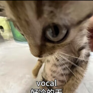 翻斗花园牛爷爷