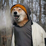 老八的老六生活