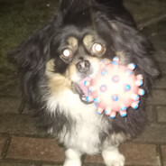 ✷ ÐЈ™ Ś P I Ą C Z K A ✷