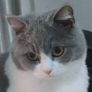 不吃牛子（考研版）