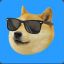 SwagLord Doge