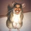 Obama Rat
