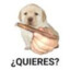 ¿Quieres?