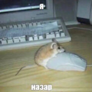 Я НАЗАР