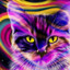 Rainbowcat