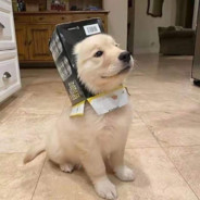 太主动反而被敷衍 只好把想念和热情都收敛