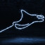 Manta Ray