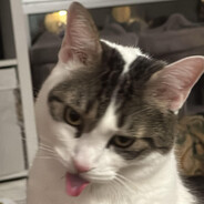 L
