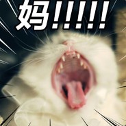 开黑连体婴闹麻了