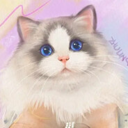 爱布偶猫的柯基