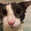 soggy