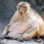 ape6920
