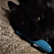 菓子困りました