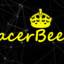 racerBee
