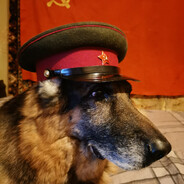 PiVPAV_DOG