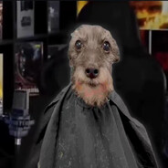 AYUDA PORFAVOR NOME ANDA ELMOUSE