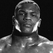 Lysyblyat skins.army