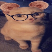 trphy