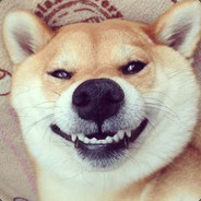 妇女之友卅狗狗