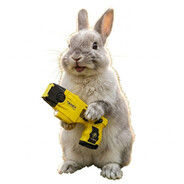 Happy Bunny