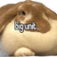 BIG UNIT