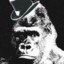 captain kong