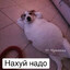 Нахуй надо