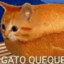 Gato queque