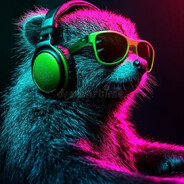 Raccoon