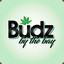 BUDZ