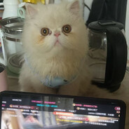 我叫大只