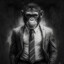 Kako Macaco