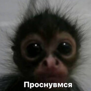 БИБИЗЯН228 - steam id 76561199041418665